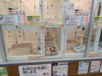 Pet shop inside Kohnan